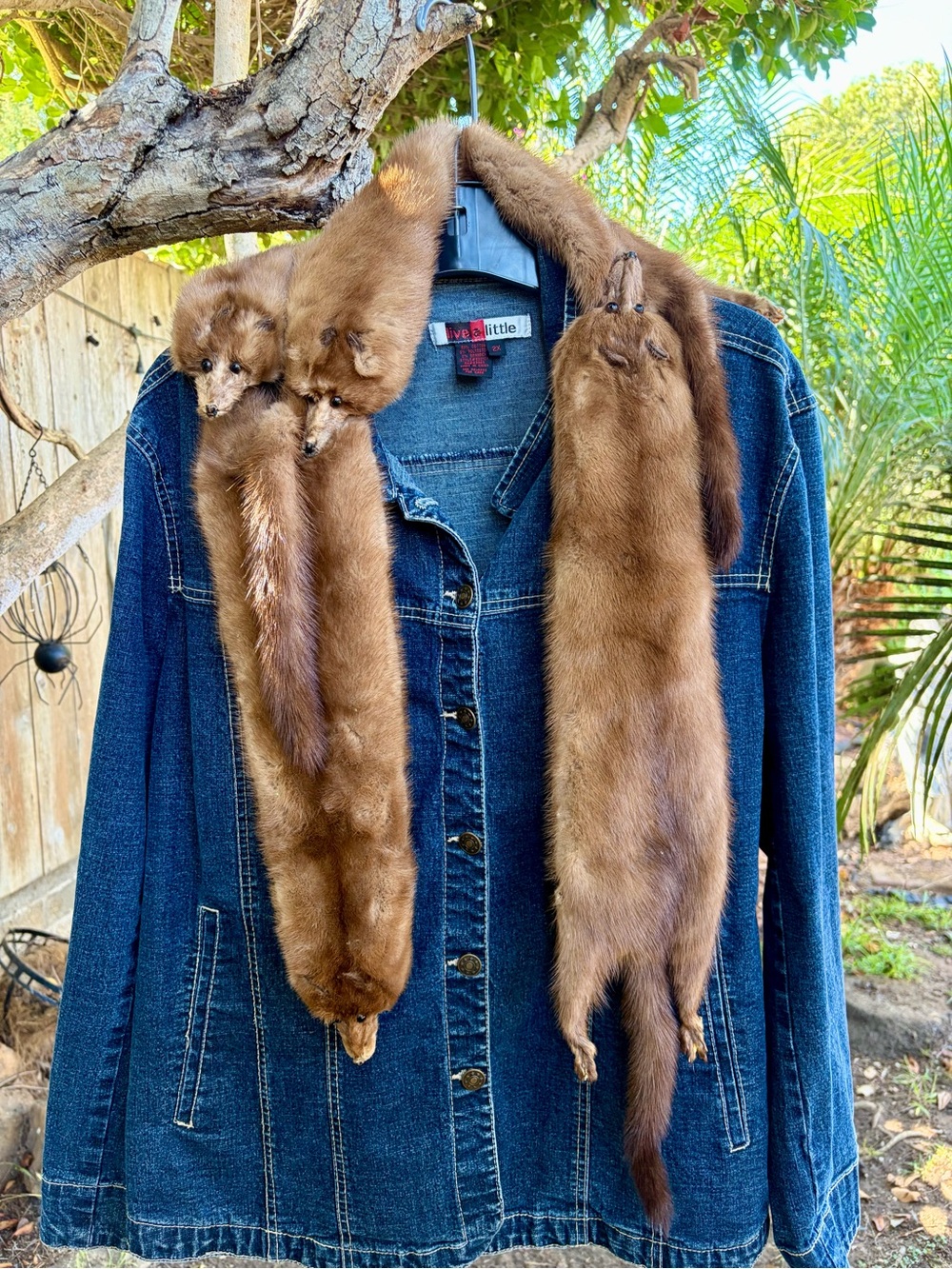 Full Pelts Mink Fur Stole or Shoulder Wrap Vintage Glamour Mancave Taxidermy